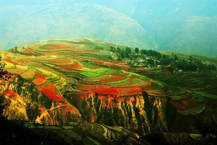 2,黄土:主要分布在黄土高原,这里的土壤呈黄色,由于有机物含量较少的