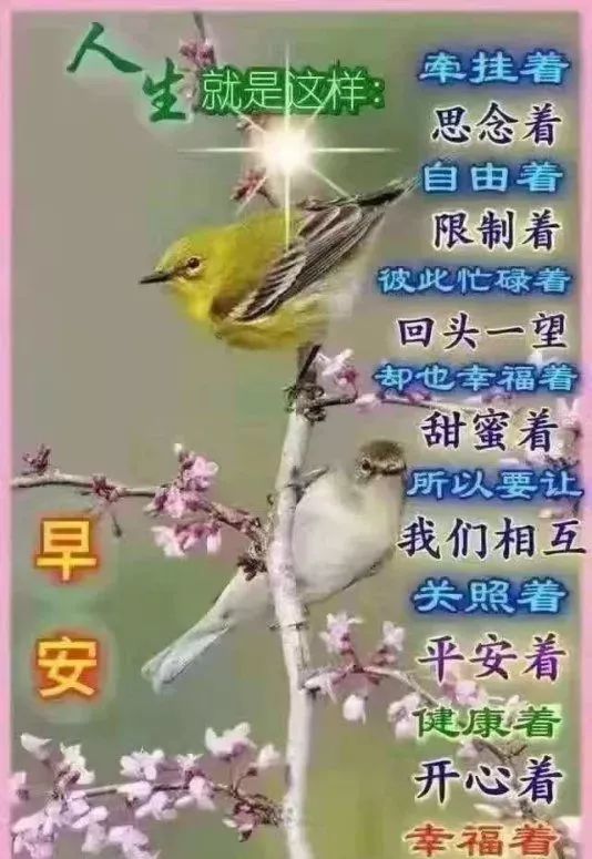 12社区早上好最新图片,108社区友早上好 12月11日,周三早上好,天冷了,请多保重身体,愿你幸福安康快乐