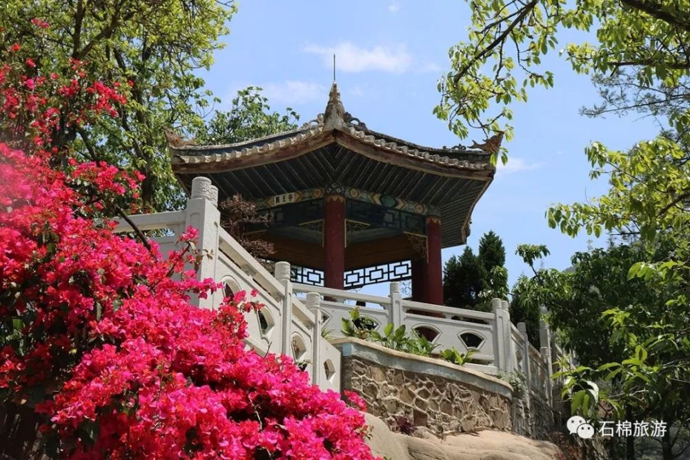爬爬石儿山,站在翼王亭上了望大渡河的美景最潇洒自在.
