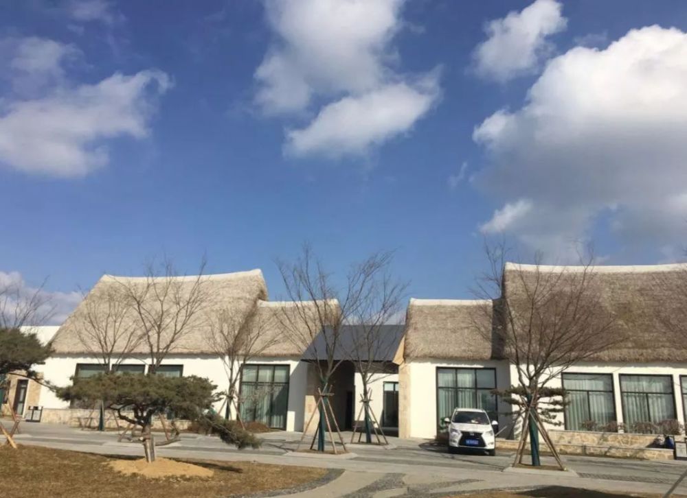 田希壮,天鹅湖,村庄,客栈,民宿,荣成市