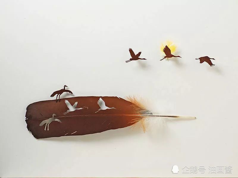 羽毛是温柔的象征,暗示着,即使生活再艰难,也要保持幽默和乐观