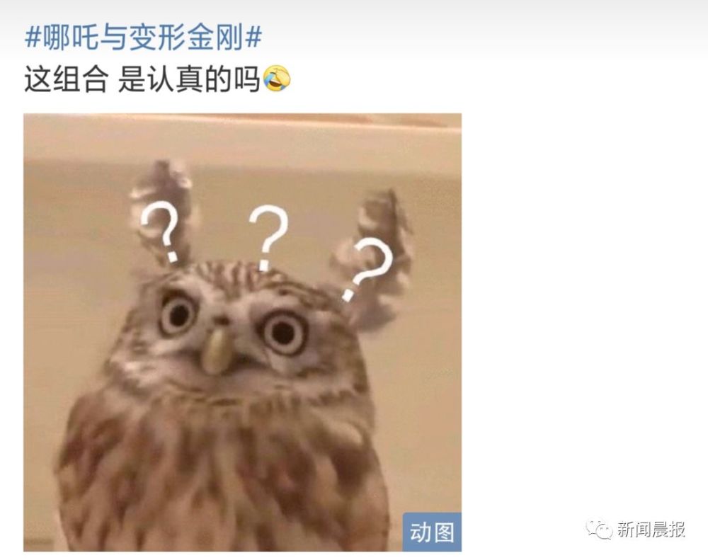 真的,比珍珠还真! 殷夫人怀胎三年生了一辆车? 不,我不能接受!