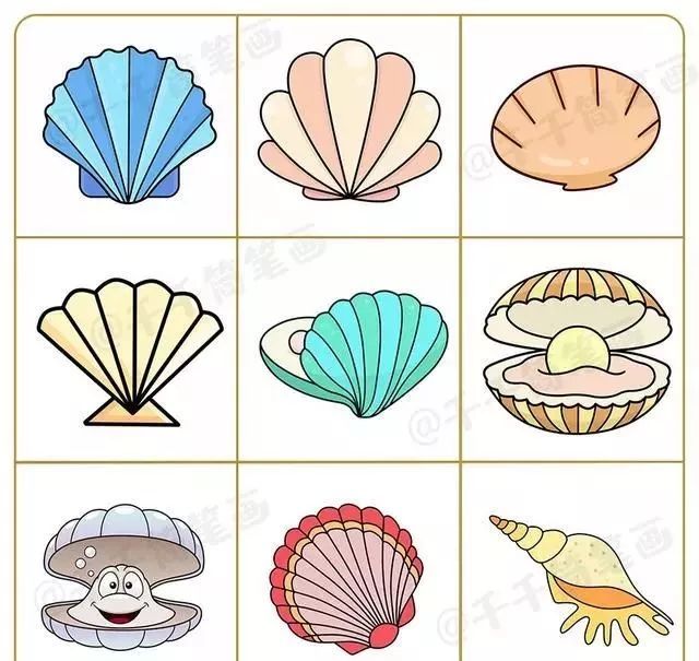 贝壳简笔画素材大全