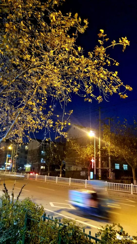 夜景