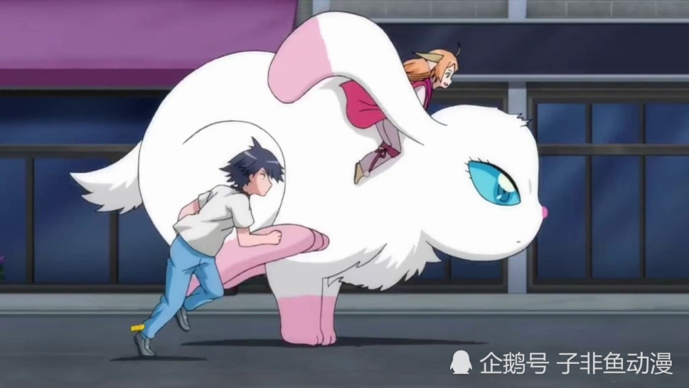 《狐妖小红娘》尾生篇:涂山苏苏的兔子和月啼暇的驴都