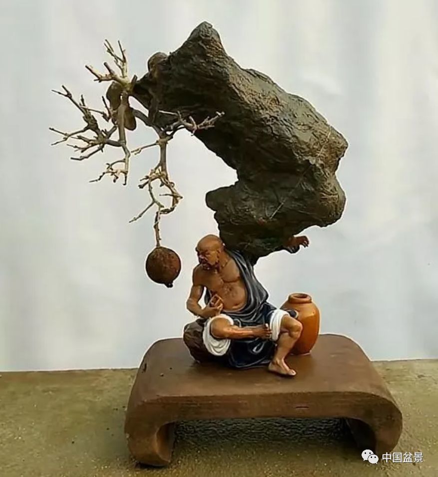 稀奇古怪的附石盆景,构思真巧妙!