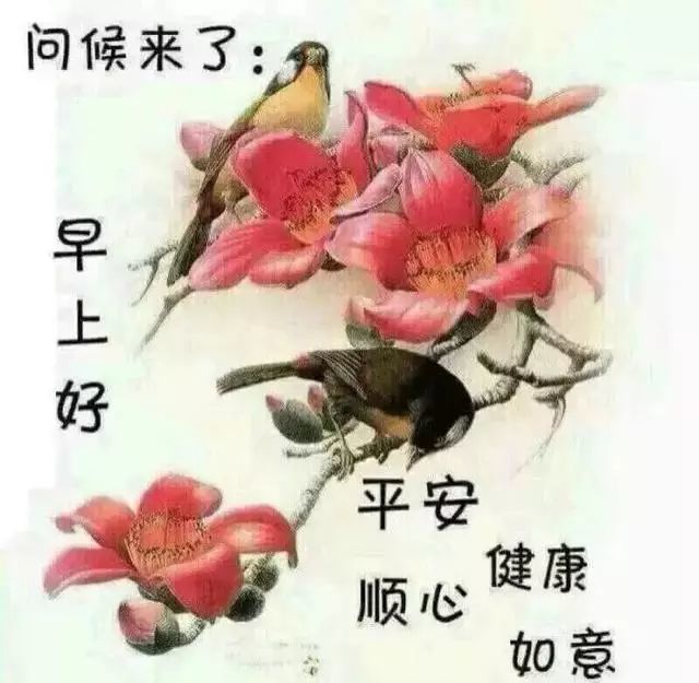 1月9日清晨群发早上好问候祝福语动态图片 早晨好问候