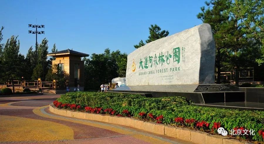 大运河,森林公园,旅游景区,通州,大运河森林公园,北运河