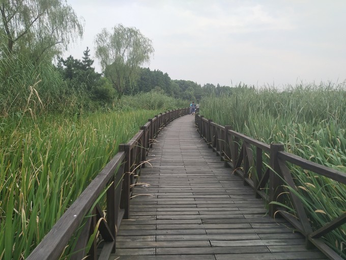 东沙湖生态公园-苏州工业园区