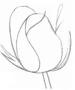 10步:玫瑰花的素描画法步骤图