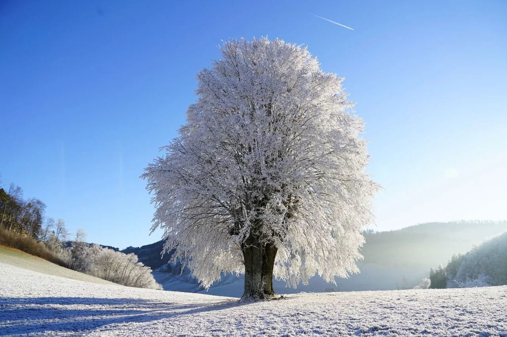 大自然,安静,雪景,旅游,修心