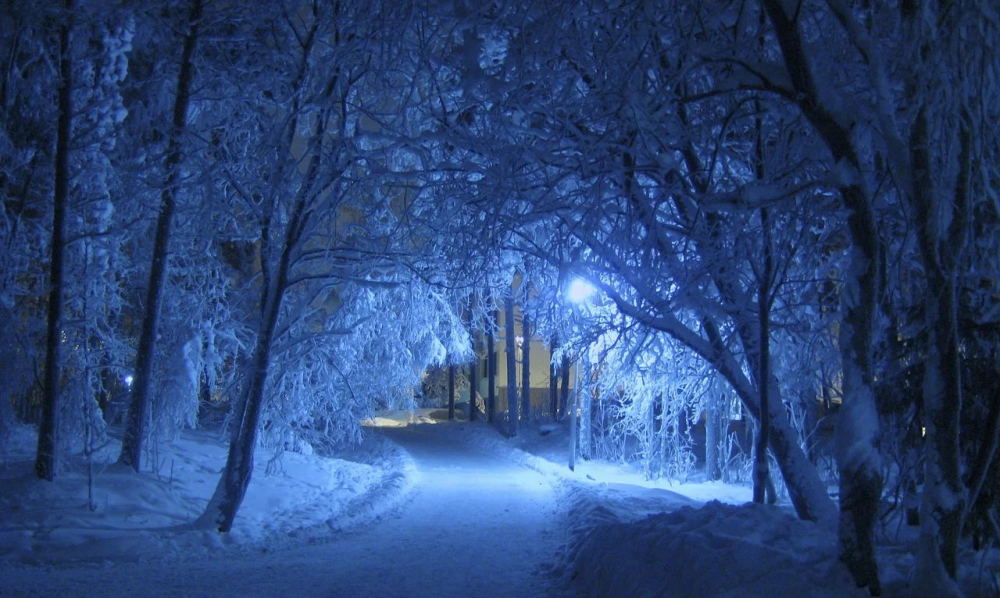 夜晚的雪景显得格外的美丽,当你融入其中,你会体会到一种安静的力量.