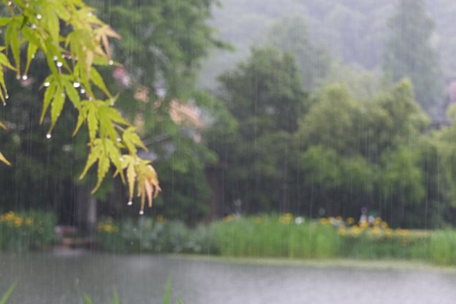 被誉为雨城,六天下雨两天晴天