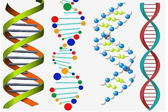 一种被忽视的神秘力量,是维持dna结构的关键?