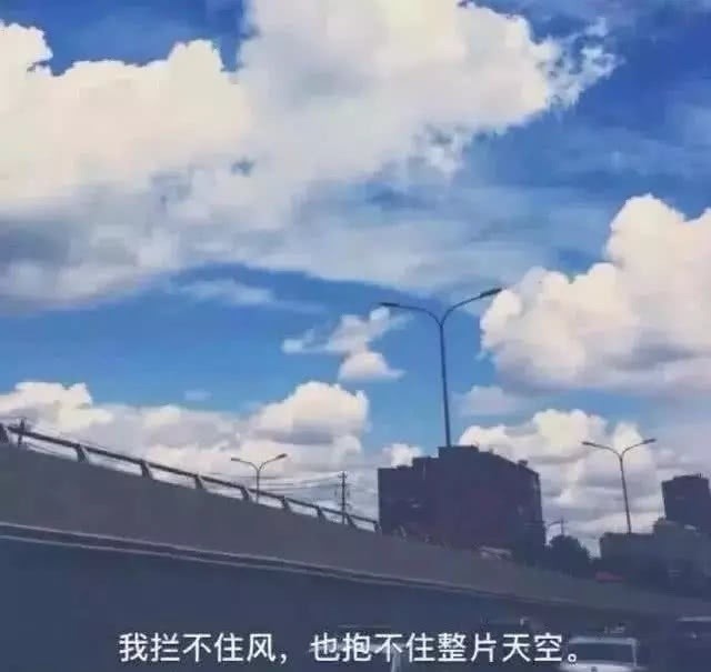 爱你说不出口的丧系背景图:我拦不住风,也抱不住整片天空