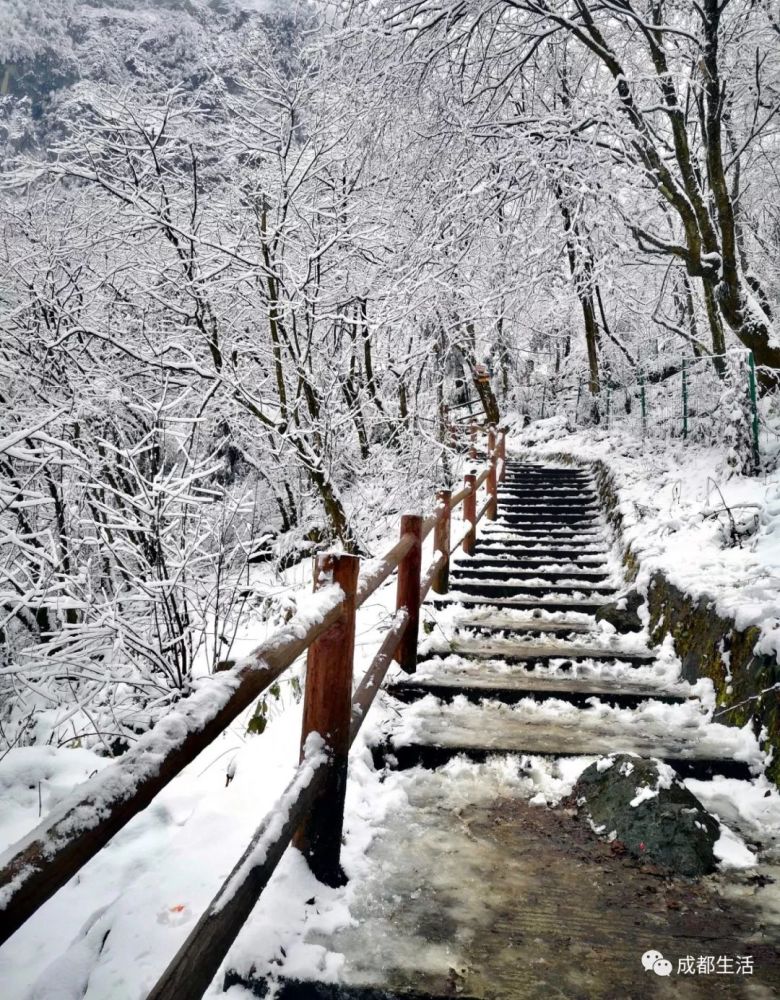 成都,九峰山风景名胜区,雪景,自驾,滑雪场,动车,景区门票,鹧鸪山自然