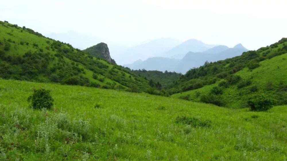 高山草甸原始地貌