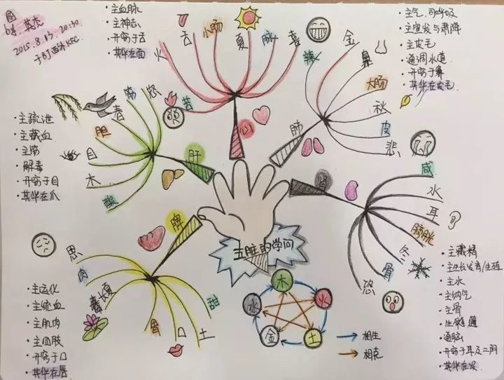 mindmaping 3-6年级亲子思维导图课