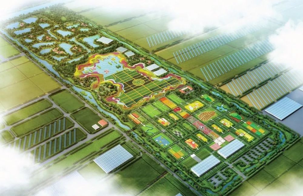 天津市王稳庄镇GDP_天津市西青区王稳庄镇(3)