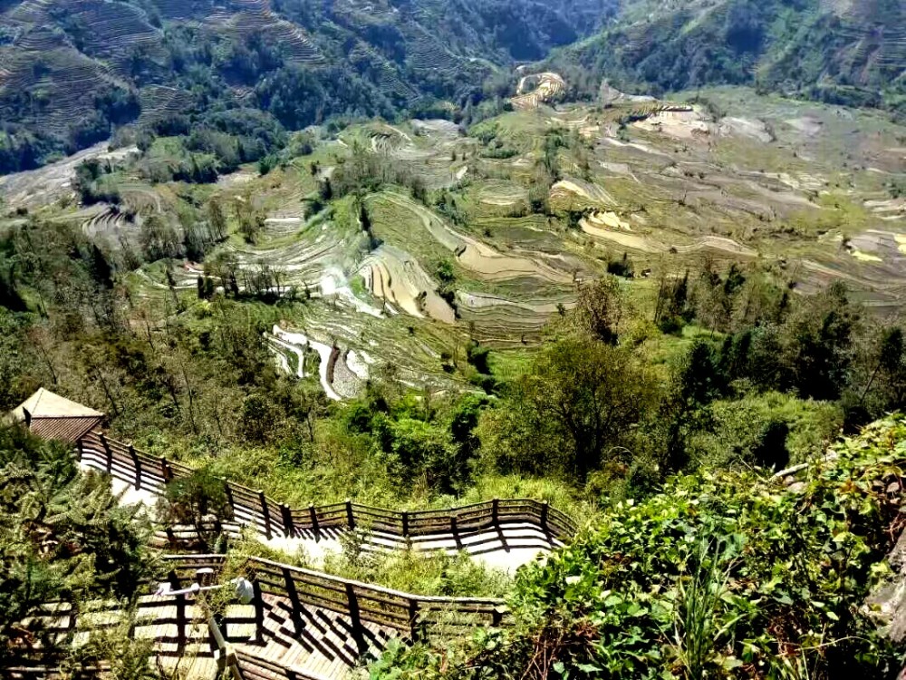 元阳哈尼梯田,梯田,哈尼族,景区,新街镇,坝达