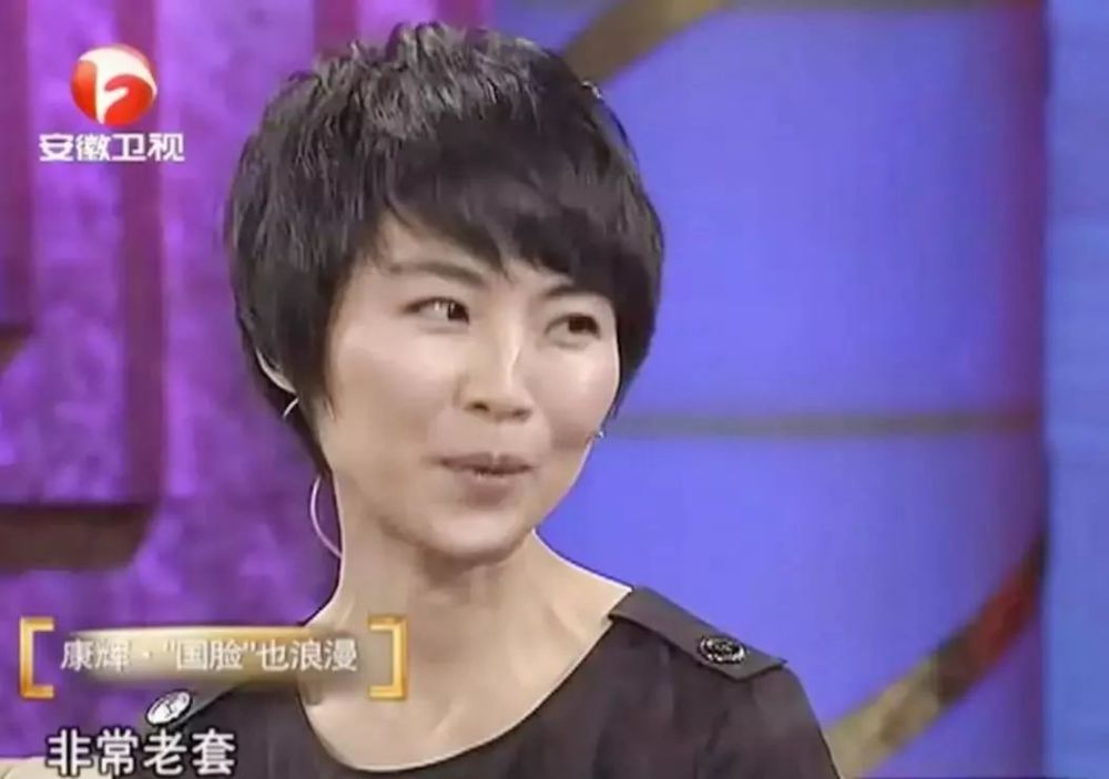 康辉,丁克,刘雅洁,央视