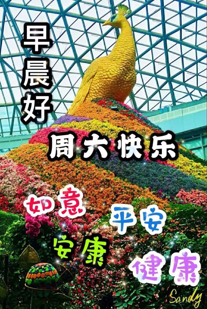 冬天微信最火的早上好问候语图片 早晨好表情包