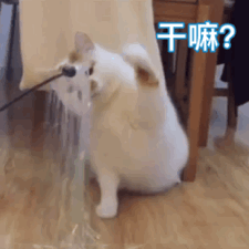 一些好玩沙雕的文案 | gif