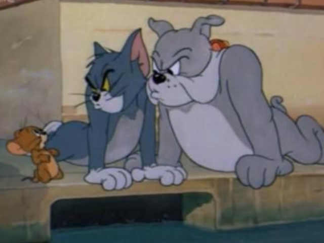 猫和老鼠:再看一遍三兄弟分肉,可以看出世间的冷暖