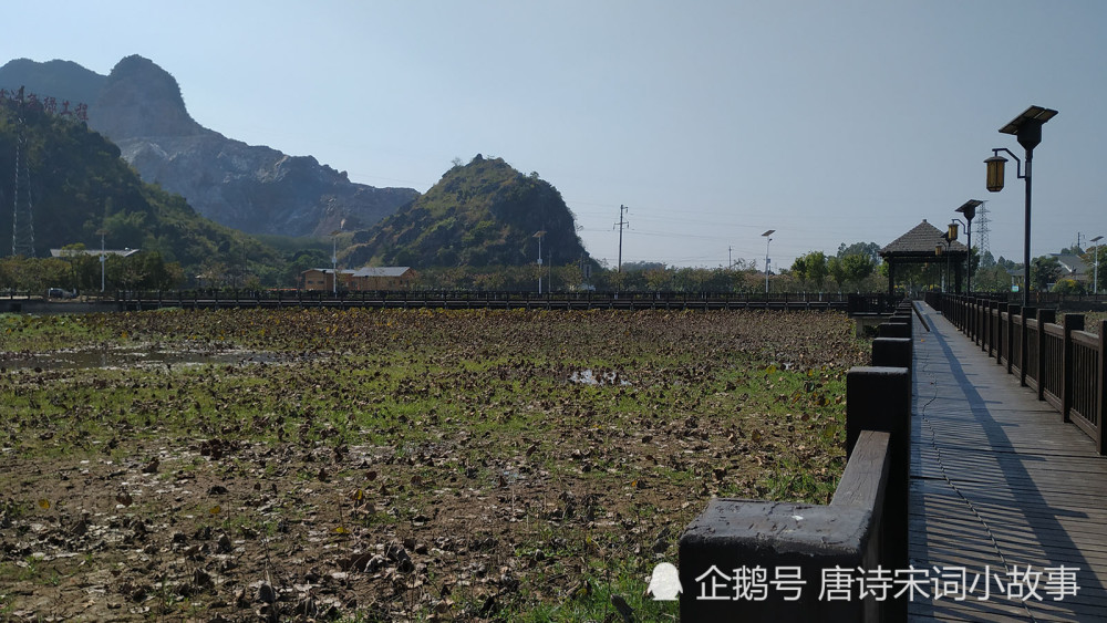 玉林五彩田园:荷之源景点图集,有荷花池,大型水车,水上走廊,木制凉亭