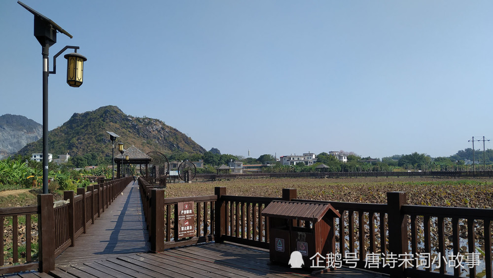 玉林五彩田园:荷之源景点图集,有荷花池,大型水车,水上走廊,木制凉亭