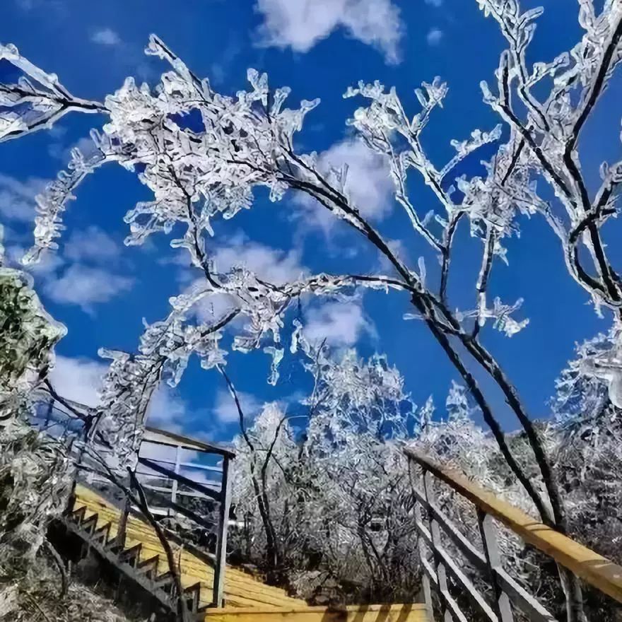 生如夏花之千寻 首场冰挂出现在 清远金山金子山 遇上寒风雪露,造就了