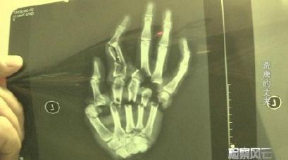 这对鸳鸯,冤冤相报何时了啊_订阅_腾讯网