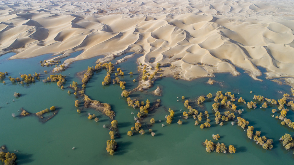航拍新疆罗布湖旖旎风光 沙漠与湖水相依相生