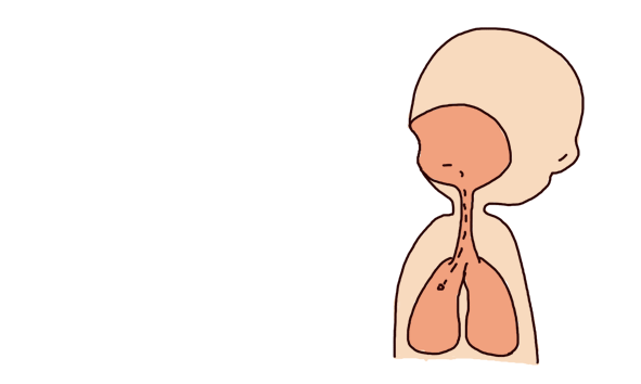或者大人经常在房间里抽烟等,都容易使孩子患上呼吸道疾病