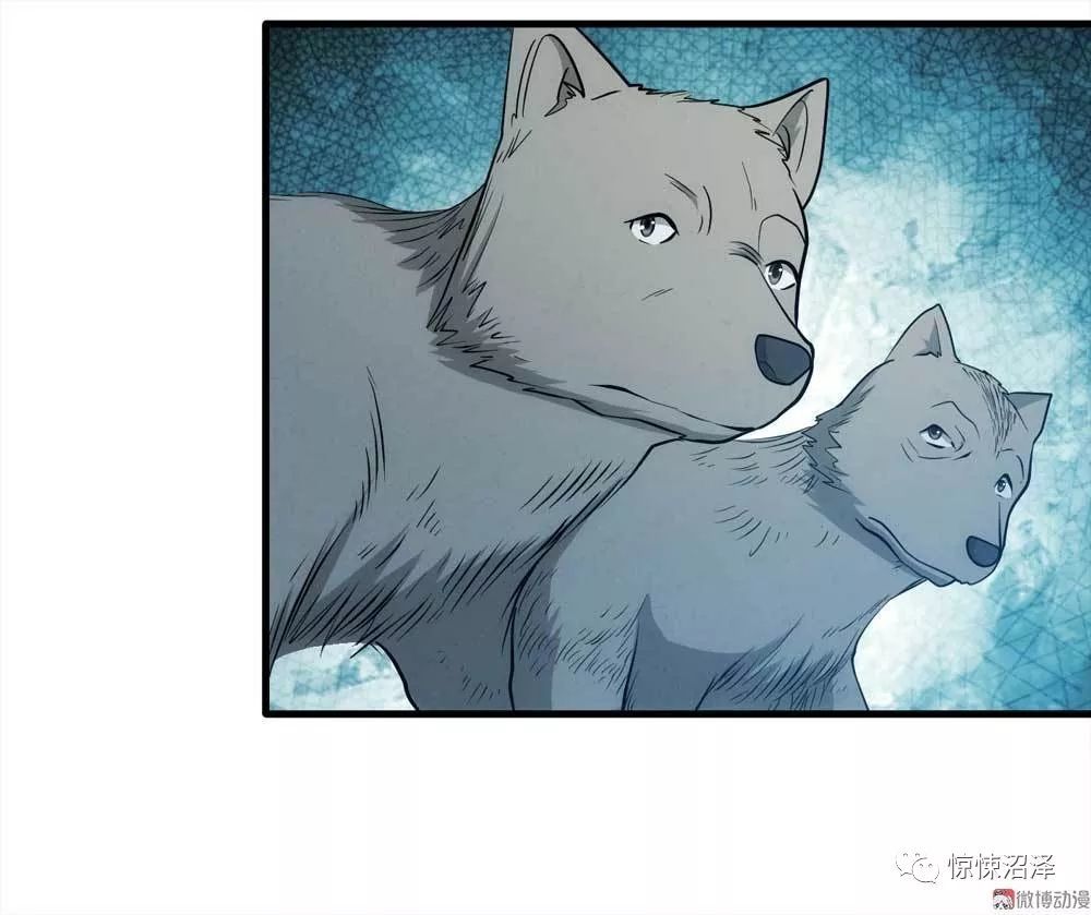 之恩(那晚跑到猎户家的"狗狗"是它们的小狼崽)所以它们才会全体出动