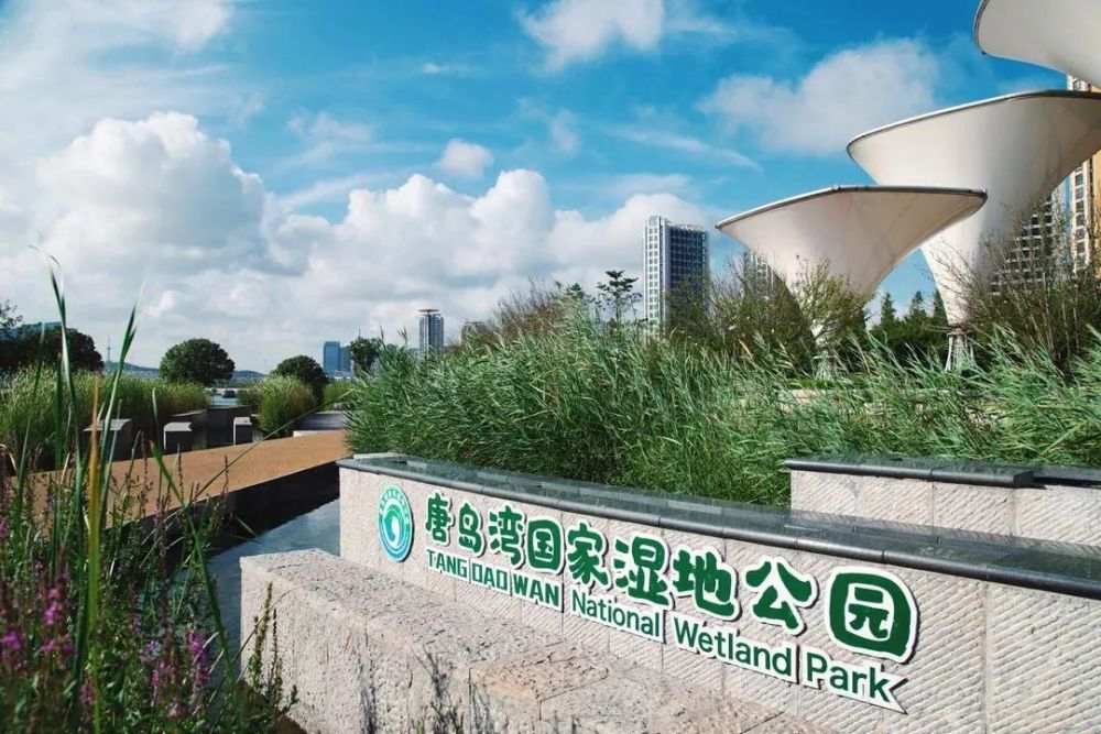 唐岛湾公园,青岛西海岸新区,国家湿地公园,湿地,滨海公园,公园