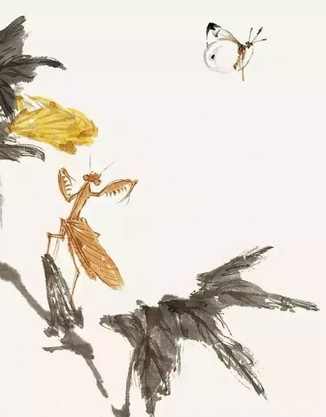 萧朗画螳螂,小写意,大造化!