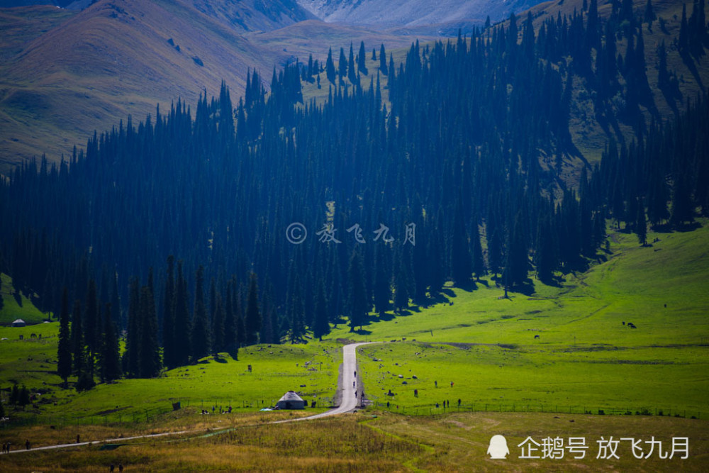 新疆自驾游,那拉提看雪山草原骑牦牛,美得像油画