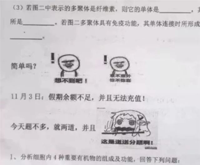 神段子,表情包,流行语纷纷进入考卷?"网红"试卷引发争议,你怎么看?