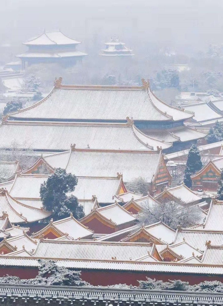北京下雪了!这是入冬以来的第二场雪!上班的朋友注意了!