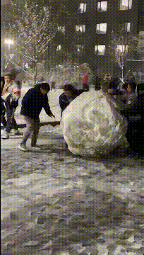 搞笑gif:男朋友开车带我去兜风,一路上光听喇叭声了