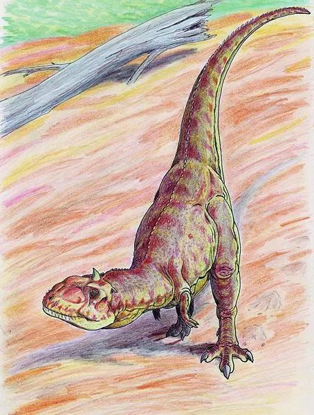 玛君龙(majungasaurus).