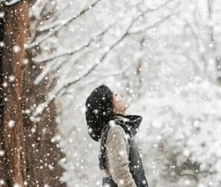 整个北方都在下雪 而大连下起了雨
