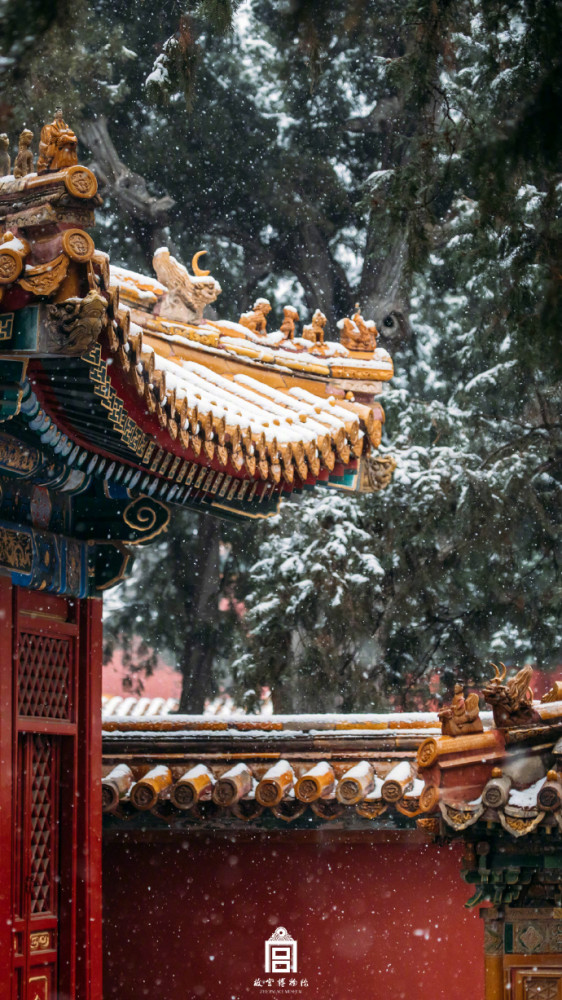 故宫雪景"美"上三个热搜,这只小狮子的表情亮了
