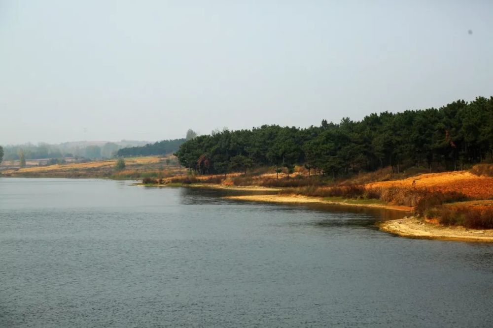 水库,泌阳县,付庄乡,小河