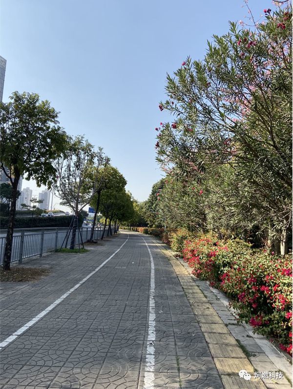 小编路边随手拍的