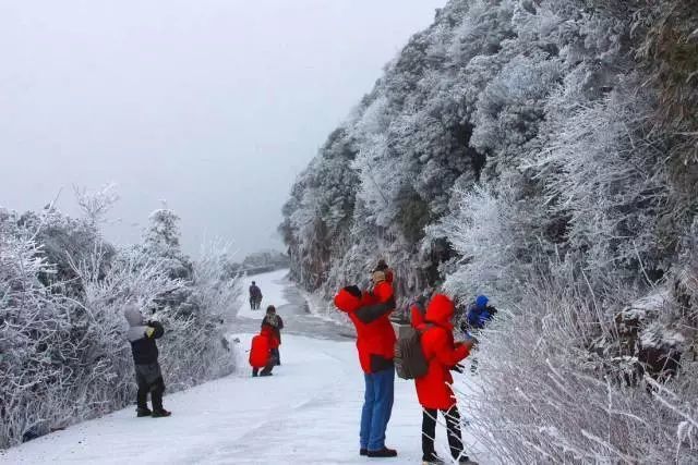 "广东雪山"打卡地推荐:在这个冬天遇见广东版"雪乡"!