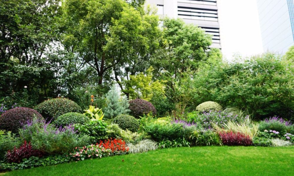 静安这5个公园的花境脱颖而出,被市里点名了,实景图一