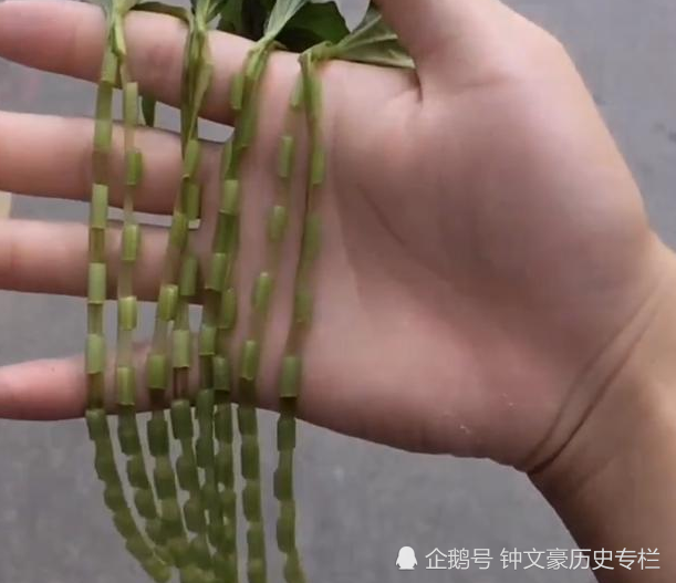玩具,90后,弹弓,打火机,回忆