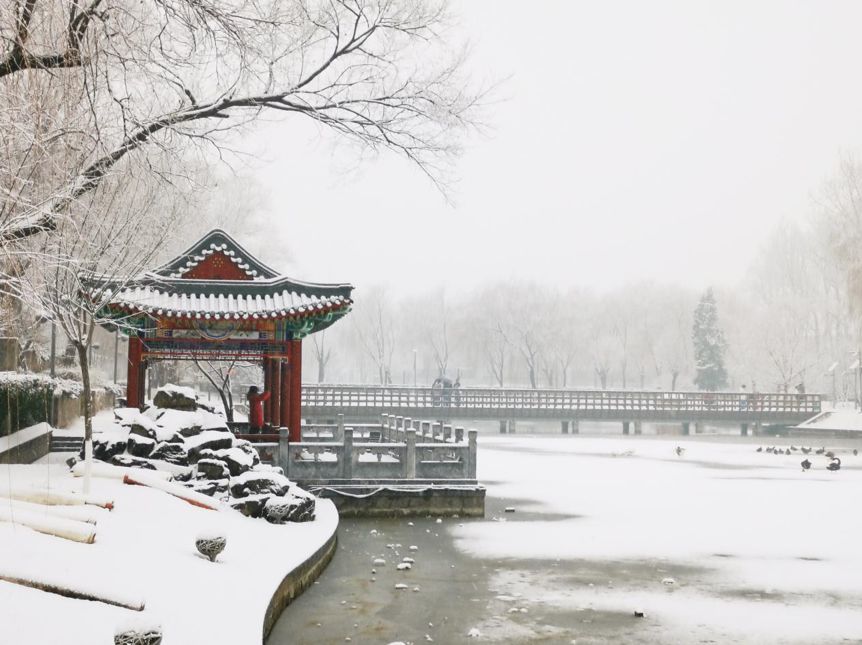 北京一零一师生带你看圆明园雪景 全部原创哦感觉美到